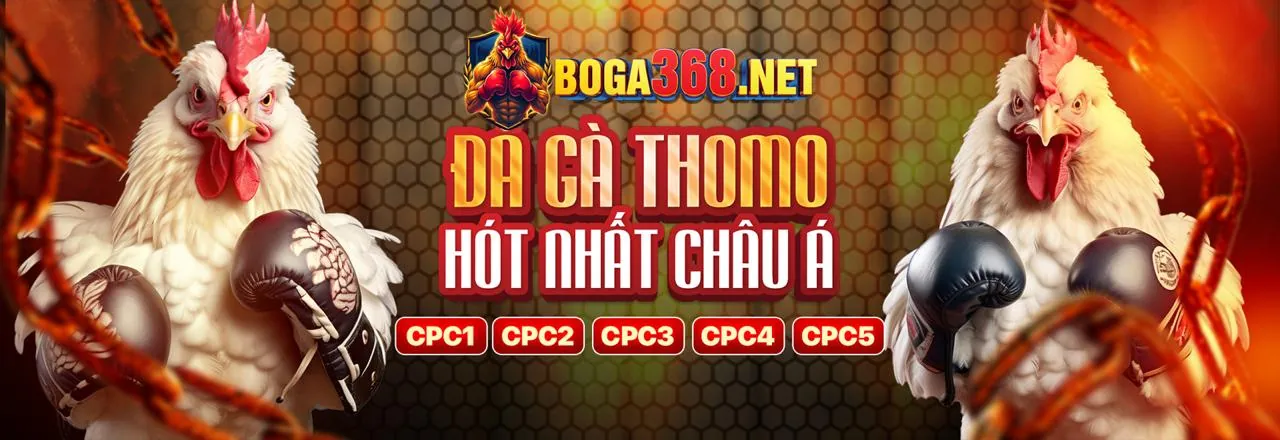 Cá cược thể thao trực tiếp tại 3333win