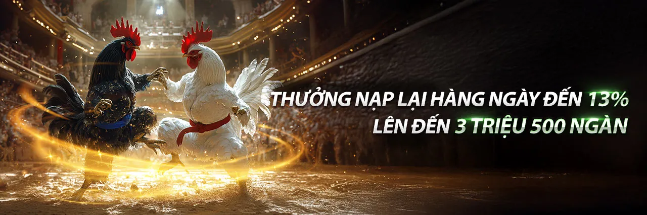 Sân vận động với khán giả cổ vũ, biểu tượng của cá cược thể thao 3333win khuyến mãi